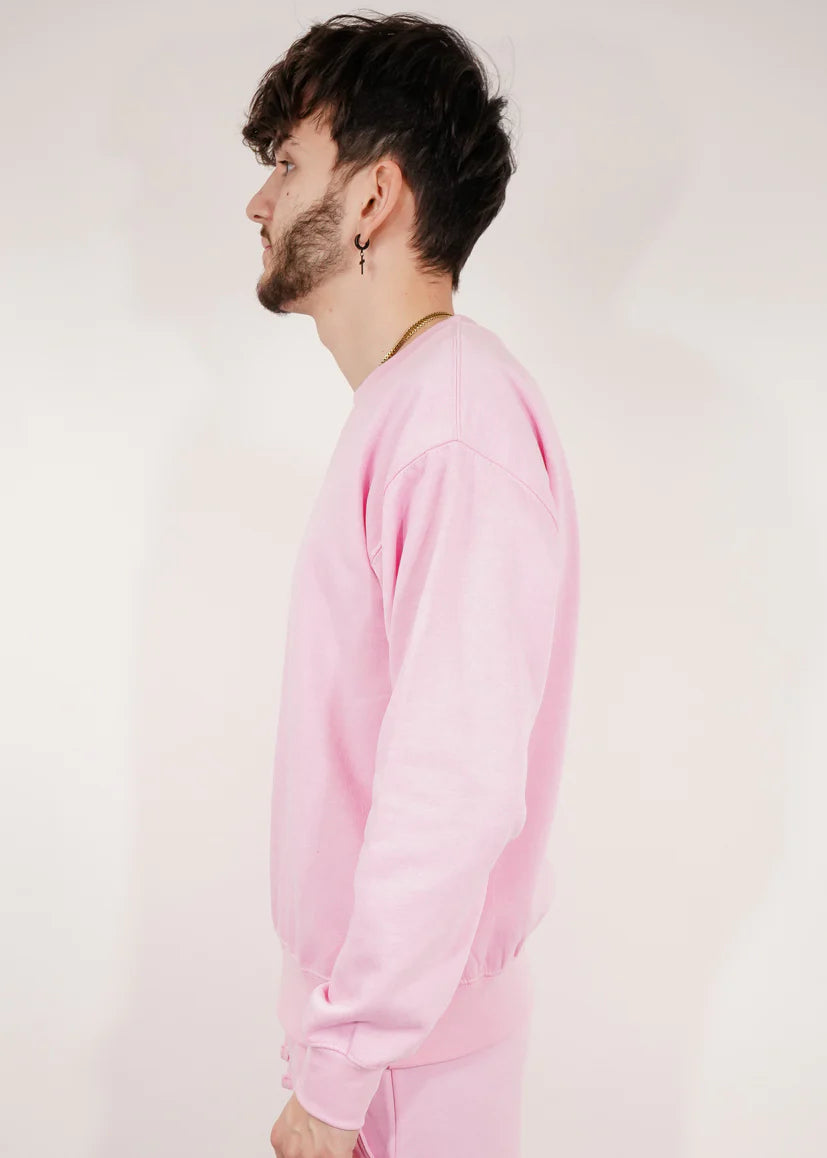 Light Pink Heavy Blend Fleece Crew Neck Sweatshirt